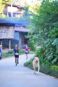 BIB: 
                            <button type="button" onclick="openModal(19336374)" class="btn btn-primary btn-sm float-right btn-popup" data-toggle="modal" data-target=".modal-high-quality">
                        <i class="fas fa-shopping-cart"></i> Add to Cart
                    </button>
                                            <button type="button" onclick="isThisMe(19336374, true)" class="btn btn-success btn-sm float-right btn-popup btn-isme hidden" data-toggle="tooltip" data-placement="bottom" title="นี่คือรูปของคุณใช่ไหม คลิกที่นี่เพื่อเอาเข้าอัลบั้ม">
                        <i class="fas fa-plus"></i> Add to album
                    </button>
                    <button type="button" onclick="isThisMe(19336374, false)" class="btn btn-warning btn-sm float-right btn-popup btn-isnotme hidden">
                        <i class="fas fa-ban"></i> Remove from album
                    </button>